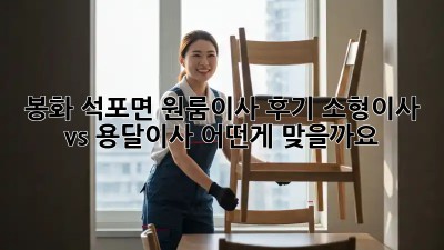 봉화 석포면 원룸이사 후기: 소형이사 vs 용달이사, 어떤게 맞을까요?